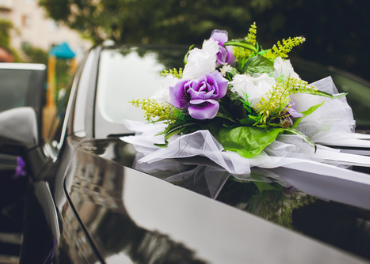 SUV Cars